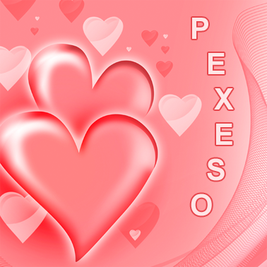 Pexeso 3 - srdka