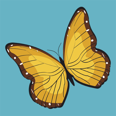 Pexeso 6 - motýl