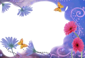 Motýl 6