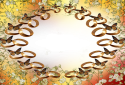 Svatba 7