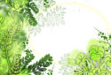 Flora 1