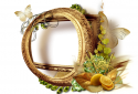 Rámeček 5