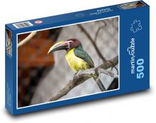 Sedící tukan na větvi Puzzle 500 dílků - 46 x 30 cm