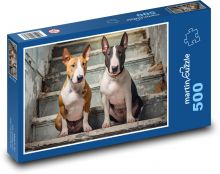 Bull teriér - pes Puzzle 500 dílků - 46 x 30 cm