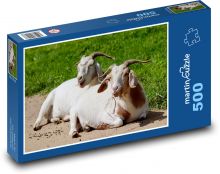 Domácí kozy Puzzle 500 dílků - 46 x 30 cm