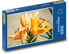 Oranžová lilie Puzzle 500 dílků - 46 x 30 cm