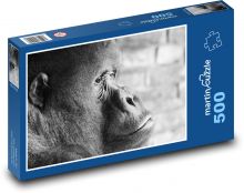 Gorila - opice Puzzle 500 dílků - 46 x 30 cm
