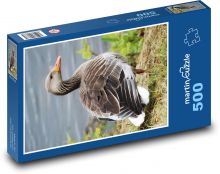 Husa - pták Puzzle 500 dílků - 46 x 30 cm