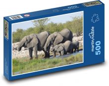 Stádo slonů Puzzle 500 - 46x30 cm