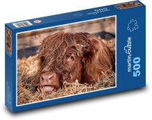Kráva - mladý dobytek Puzzle 500 - 46x30 cm