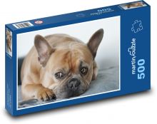 Francouzský buldoček - pes Puzzle 500 dílků - 46 x 30 cm