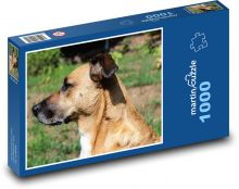 Pes čekající na povel Puzzle 1000 dílků - 60 x 46 cm