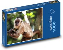 Hnědá opička na stromě Puzzle 1000 - 60x46 cm