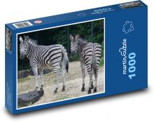 Zebra Puzzle 1000 dielikov - 60 x 46 cm 