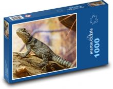 Leguán na stromě Puzzle 1000 - 60x46 cm