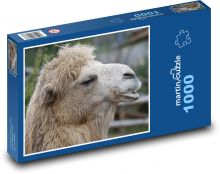 Camel Puzzle 1000 dielikov - 60 x 46 cm 