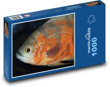 Ryba Puzzle 1000 dílků - 60 x 46 cm