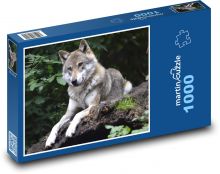 Šedý vlk ležící na skále Puzzle 1000 - 60x46 cm