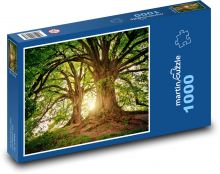 Slunce prosvítající mezi stromy Puzzle 1000 dílků - 60 x 46 cm
