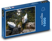 Labutě na řece Puzzle 1000 - 60x46 cm