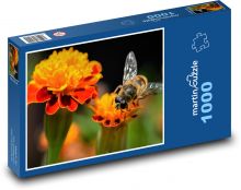 Včela - hmyz, květina Puzzle 1000 - 60x46 cm