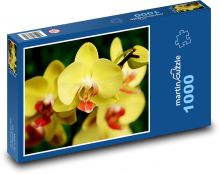 Orchidej - žlutý květ Puzzle 1000 - 60x46 cm