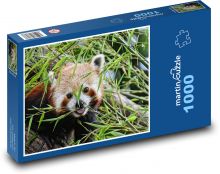 Panda červená v trávě Puzzle 1000 dílků - 60 x 46 cm