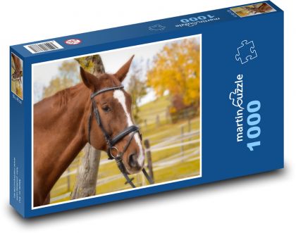 Hnedý kôň - zviera, farma - Puzzle 1000 dielikov, rozmer 60x46 cm