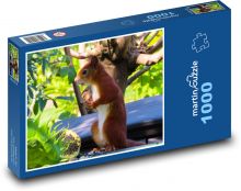 Veverka - les, zvíře Puzzle 1000 - 60x46 cm