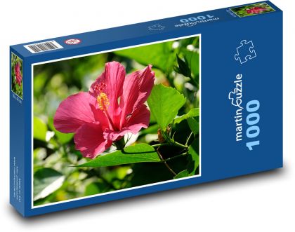 Ibištek - červený kvet, záhrada - Puzzle 1000 dielikov, rozmer 60x46 cm