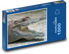 Crocodile - reptile, animal Puzzle 1000 pieces - 60 x 46 cm 