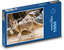 Pouštní liška - zvíře, savec Puzzle 1000 dílků - 60 x 46 cm
