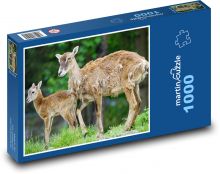 Muflon - tele, mládě Puzzle 1000 dílků - 60 x 46 cm