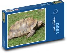 Želva - plaz, zvíře Puzzle 1000 dílků - 60 x 46 cm