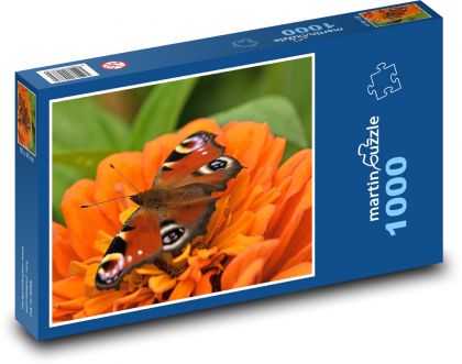 Motýl - paví očko, květ - Puzzle 1000 dílků, rozměr 60x46 cm