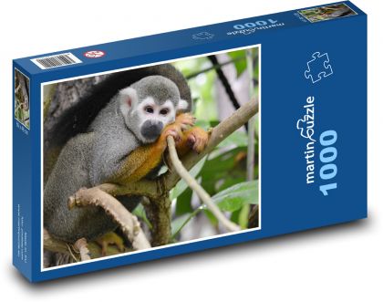 Opice - roztomilý, primát - Puzzle 1000 dílků, rozměr 60x46 cm