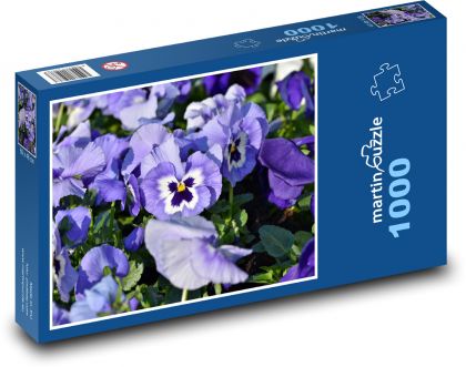 Modrá maceška - květy, fialová rostlina  - Puzzle 1000 dílků, rozměr 60x46 cm