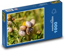 Šneci - měkkýši, příroda Puzzle 1000 dílků - 60 x 46 cm