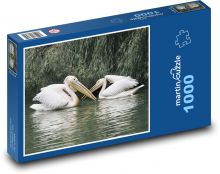 Pelikáni - vodní ptactvo, jezero Puzzle 1000 dílků - 60 x 46 cm