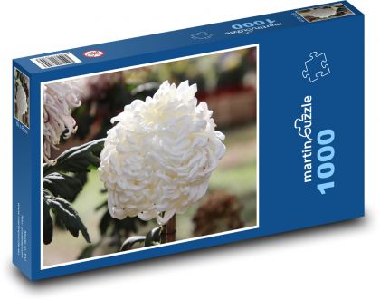White chrysanthemum - flower, flower - Puzzle 1000 pieces, size 60x46 cm 
