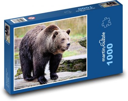 Grizzly - medvěd, zvíře - Puzzle 1000 dílků, rozměr 60x46 cm