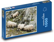 Ovce - dobytek, skály Puzzle 1000 - 60x46 cm
