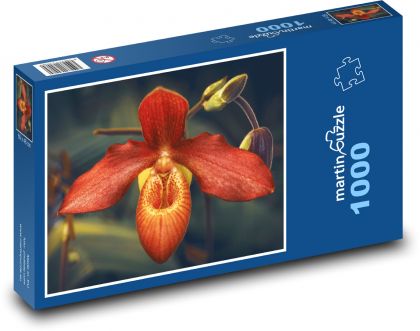 Tropikalna orchidea - kwiat, kwiat - Puzzle 1000 elementów, rozmiar 60x46 cm