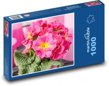 Růžový petrklíč - květina, jaro Puzzle 1000 dílků - 60 x 46 cm