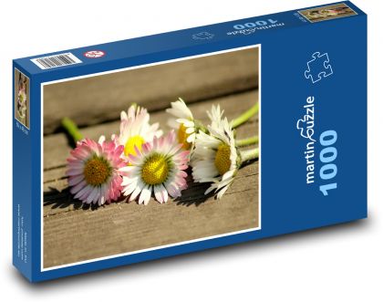 Sedmikrásky - jaro, květiny - Puzzle 1000 dílků, rozměr 60x46 cm