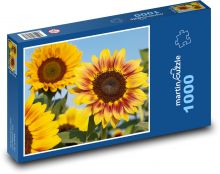 Slunečnice - okvětní lísty, květ Puzzle 1000 dílků - 60 x 46 cm