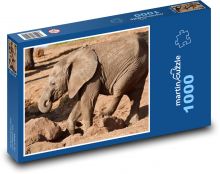 Slon africký - zvíře, savec Puzzle 1000 dílků - 60 x 46 cm