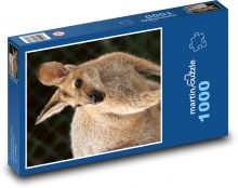 Klokan - Austrálie, vačnatec Puzzle 1000 dílků - 60 x 46 cm
