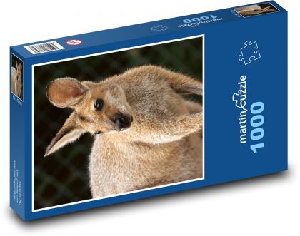 Klokan - Austrálie, vačnatec - Puzzle 1000 dílků, rozměr 60x46 cm