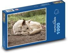 Dingo - pes, Austrálie Puzzle 1000 dílků - 60 x 46 cm